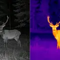 Termovízia vs. nočné videnie: Ktorú technológiu zvoliť na nočné pozorovanie?