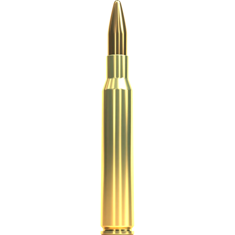 7x64 SB FMJ 9,1 g